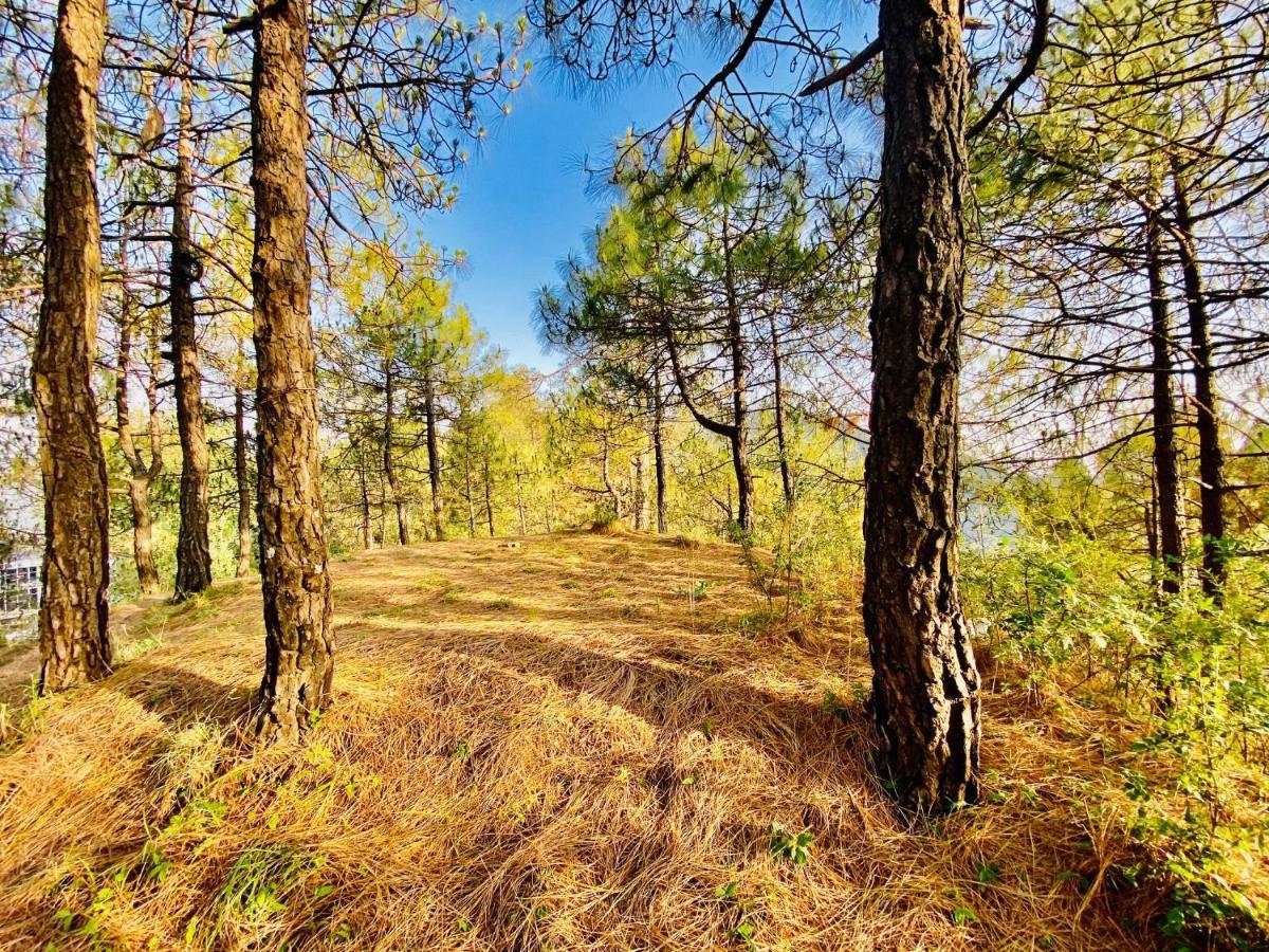 Tara Valley View Šimla Exteriér fotografie